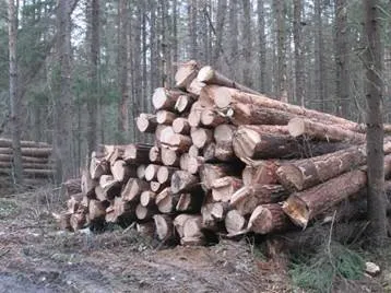 Чому чорніють дошки, брус, колоди і пиломатеріал (чому чорніють дошки) Чому чорніють дошки, брус, колоди і пиломатеріал