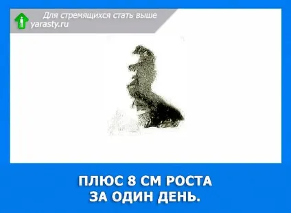Плюс 8 см росту за один день (зростання) Плюс 8 см росту за один день