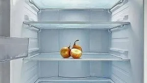 Чому не можна зберігати в холодильнику банани, хліб та інші продукти (не можна) Чому не можна зберігати в холодильнику банани, хліб та інші продукти