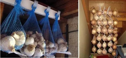 Чому не можна зберігати в холодильнику банани, хліб та інші продукти (хліб) Чому не можна зберігати в холодильнику банани, хліб та інші продукти