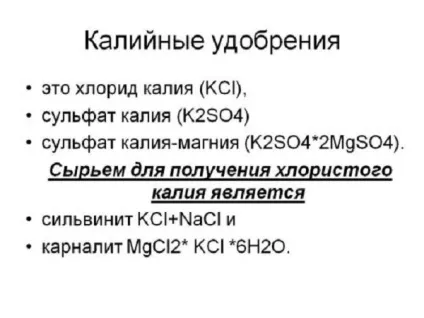 Чому не плодоносить колоновидна яблуня, що робити - розповідають фахівці (яблуня) Чому не плодоносить колоновидна яблуня, що робити - розповідають фахівці