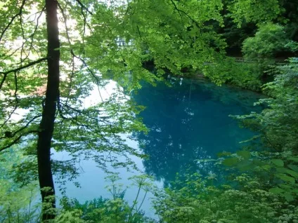 Чому вода в водоймах буває синя, зелена, жовта і навіть червоного кольору (колір) Чому вода в водоймах буває синя, зелена, жовта і навіть червоного кольору