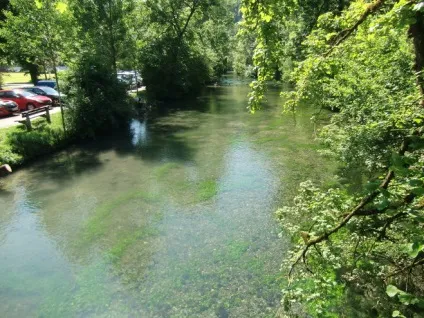Чому вода в водоймах буває синя, зелена, жовта і навіть червоного кольору (колір) Чому вода в водоймах буває синя, зелена, жовта і навіть червоного кольору