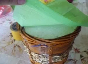 Проліски з цукерок