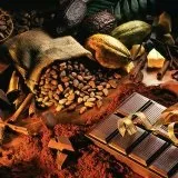 Користь і шкода какао для організму - ваш доктор айболит (шкоду) Користь і шкода какао для організму - ваш доктор айболит