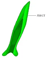 Практична робота «будова зеленого моху зозулин льон» (зеленого) Практична робота «будова зеленого моху зозулин льон»