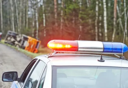 ППС і гибдд відмінності у повноваженнях (правоохоронні органи) ППС і гибдд відмінності у повноваженнях