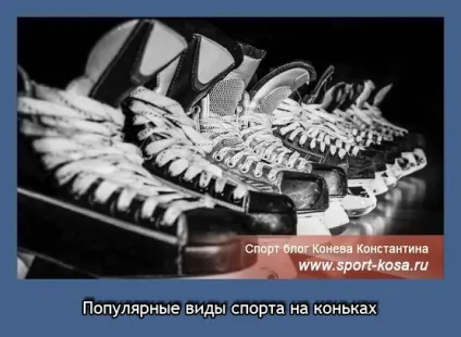 Популярні види спорту на ковзанах (спорту) Популярні види спорту на ковзанах
