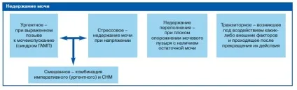 Причини енурезу і лікування таблетками нетримання сечі у дорослих чоловіків