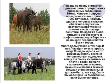 Презентації на тему моє хобі, мій дозвілля, мій вільний час, світ захоплень сім'ї, підлітка, (тему) Презентації на тему моє хобі, мій дозвілля, мій вільний час, світ захоплень сім'ї, підлітка,
