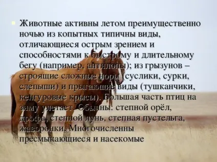 Презентація на тему - природні зони землі - географія, презентації (зони) Презентація на тему - природні зони землі - географія, презентації