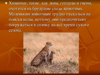 Презентація на тему - природні зони землі - географія, презентації (географія презентації презентація на тему & quot; природні зони землі & quot;) Презентація на тему - природні зони землі - географія, презентації