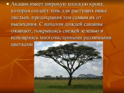 Презентація на тему - природні зони землі - географія, презентації (природні) Презентація на тему - природні зони землі - географія, презентації