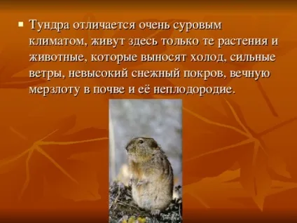 Презентація на тему - природні зони землі - географія, презентації (презентації) Презентація на тему - природні зони землі - географія, презентації