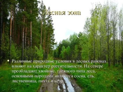 Презентація на тему - природні зони землі - географія, презентації (природні) Презентація на тему - природні зони землі - географія, презентації