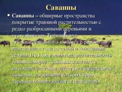 Презентація на тему - природні зони землі - географія, презентації (природні) Презентація на тему - природні зони землі - географія, презентації
