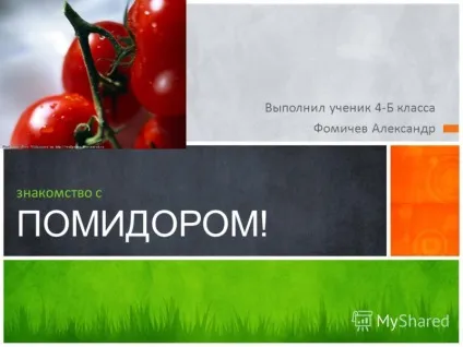 Презентація на тему виконав учень 4-Б класу Фомічов олександр знайомство з помідором! (Виконав) Презентація на тему виконав учень 4-Б класу Фомічов олександр знайомство з помідором!
