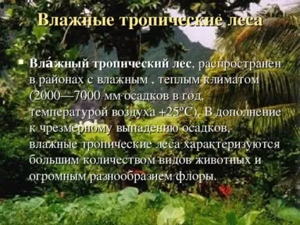 Презентація на тему - природні зони землі - географія, презентації (презентації) Презентація на тему - природні зони землі - географія, презентації