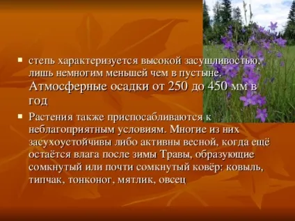 Презентація на тему - природні зони землі - географія, презентації (природні) Презентація на тему - природні зони землі - географія, презентації