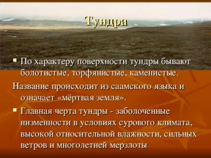 Презентація на тему - природні зони землі - географія, презентації (географія презентації презентація на тему & quot; природні зони землі & quot;) Презентація на тему - природні зони землі - географія, презентації