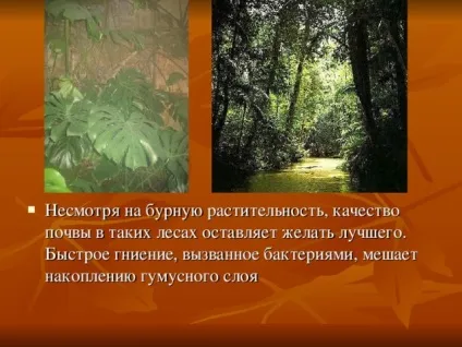 Презентація на тему - природні зони землі - географія, презентації (географія презентації презентація на тему & quot; природні зони землі & quot;) Презентація на тему - природні зони землі - географія, презентації