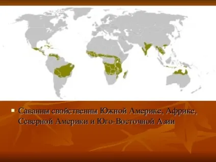 Презентація на тему - природні зони землі - географія, презентації (вологих тропічних лісів) Презентація на тему - природні зони землі - географія, презентації