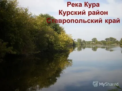 Презентація на тему річка кура Александріяій район Бердичівський край