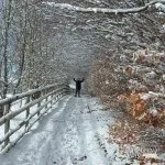 Прикмети про стіл