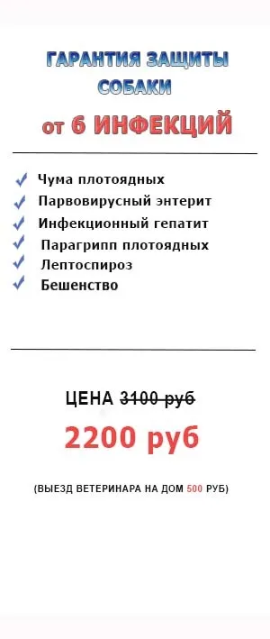 Щеплення собакам в москві