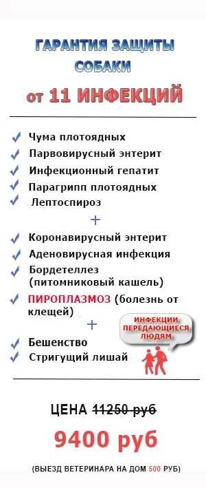 Щеплення собакам в москві