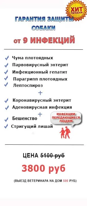Щеплення собакам в москві