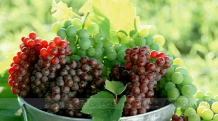 Продукти, що виводять шлаки, отрути і токсини (шлаки) Продукти, що виводять шлаки, отрути і токсини