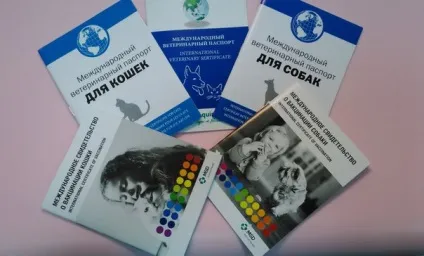 Щеплення і вакцинація собаки на дому з виїздом в москві (щеплення) Щеплення і вакцинація собаки на дому з виїздом в москві