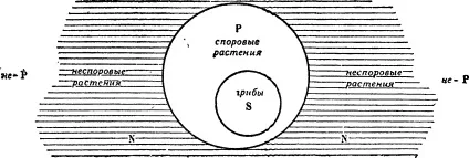 Протиставлення предикату § 23