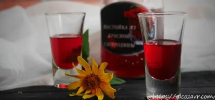 Прості рецепти приготування вина з червоної смородини (приготування) Прості рецепти приготування вина з червоної смородини