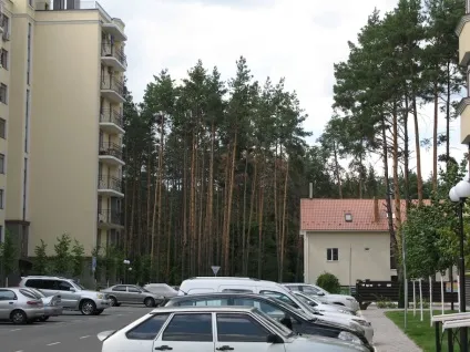 Purax - супер-сильні антиперспіранти позбавлять від поту (гіпергідрозу, підвищеного потовиділення, (антиперспіранти) Purax - супер-сильні антиперспіранти позбавлять від поту (гіпергідрозу, підвищеного потовиділення,