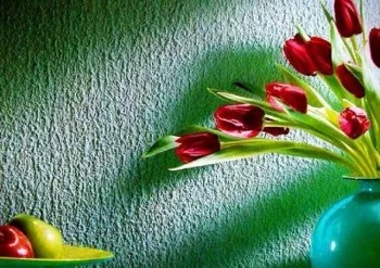 Різновиди штукатурки як вибрати (штукатурки) Різновиди штукатурки як вибрати