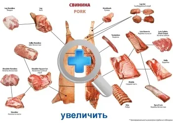 Розведення свиней в домашніх умовах як малий бізнес (свиней) Розведення свиней в домашніх умовах як малий бізнес