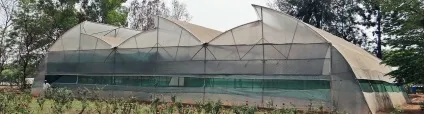 Розведення осетра в домашніх умовах (Почитати тему вибрати) Розведення осетра в домашніх умовах