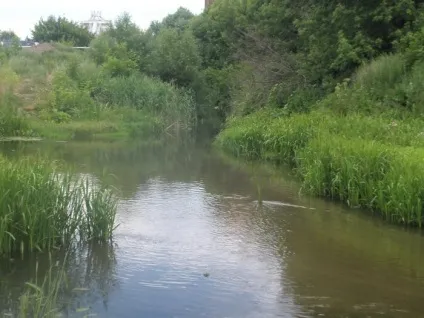 Річка курей - пам'ятка Біла Церква краю (краю) Річка курей - пам'ятка Біла Церква краю