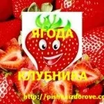 Як часто ви їсте ягоди полуниці з користю для здоров'я