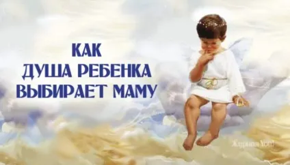 Як діти приходять в наш світ, вибираючи своїх батьків, кращі історії з усього світу (історії) Як діти приходять в наш світ, вибираючи своїх батьків, кращі історії з усього світу
