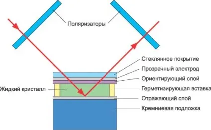 Які бувають види проекторів