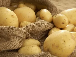 Рецепт тушкованої картоплі з фаршем (фаршем) Рецепт тушкованої картоплі з фаршем