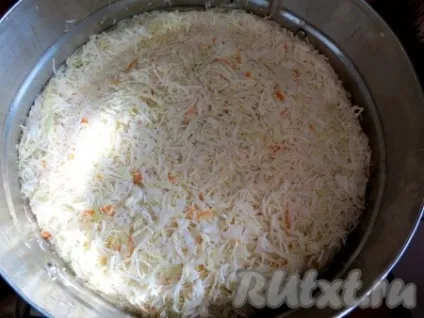 Рецепт капусти, квашеної з цукром - рецепт з фото (капусти) Рецепт капусти, квашеної з цукром - рецепт з фото