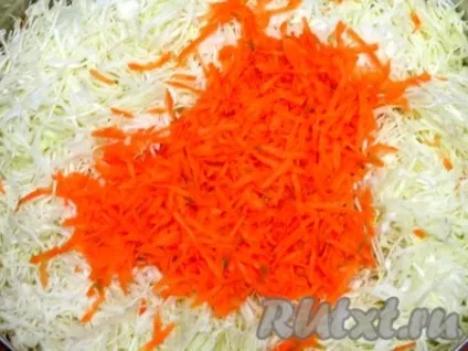 Рецепт капусти, квашеної з цукром - рецепт з фото (капусти) Рецепт капусти, квашеної з цукром - рецепт з фото