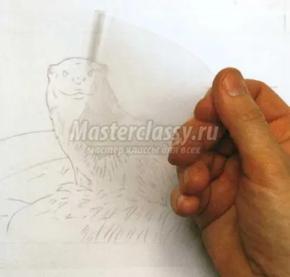 Малюємо аквареллю видру