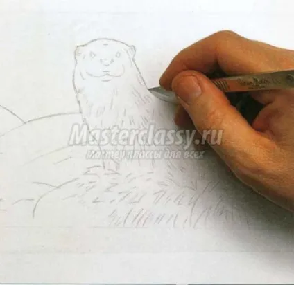 Малюємо аквареллю видру