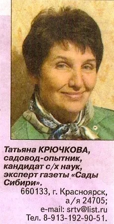 Жито - санітар саду-городу - сади сибіру (саду-городу) Жито - санітар саду-городу - сади сибіру