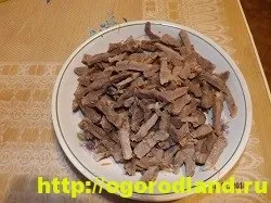 Салат «обжорка»